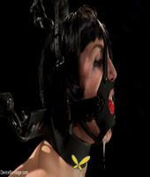 device bondage performed by coral aorta naked photos4401