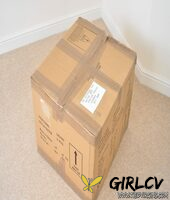 beautiful blonde sports a horse bit while showing her great tits in a box