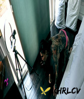 digital playground featuring joanna angel small hands naked photos134996