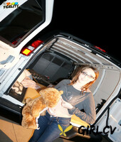 sweet & sassy nickey huntsman flashes her natural tits & hugs her teddy bear75449